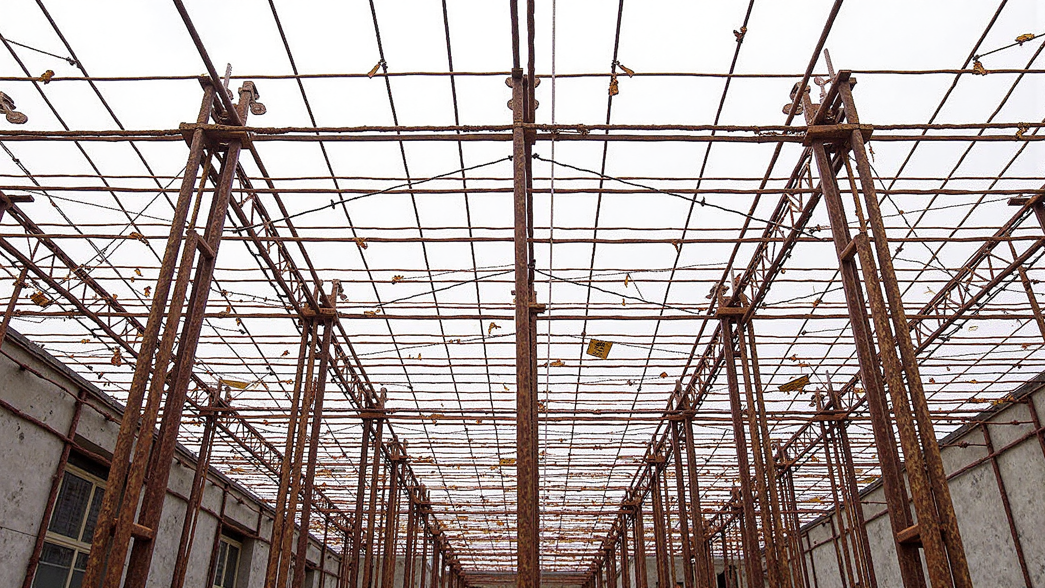 哈兹中国生产基地通过ISO 14001环境管理体系认证